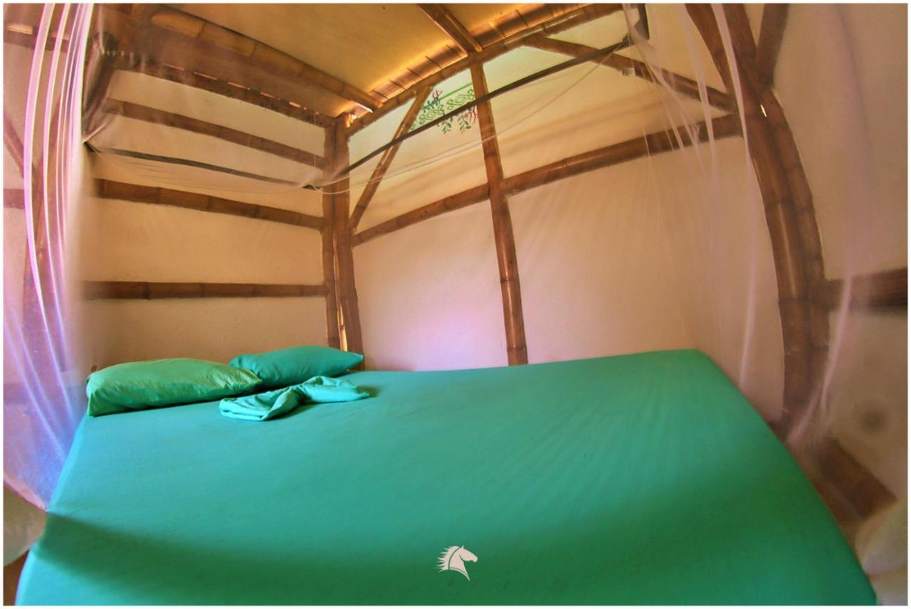 Kaluta Hostel Паломино Екстериор снимка