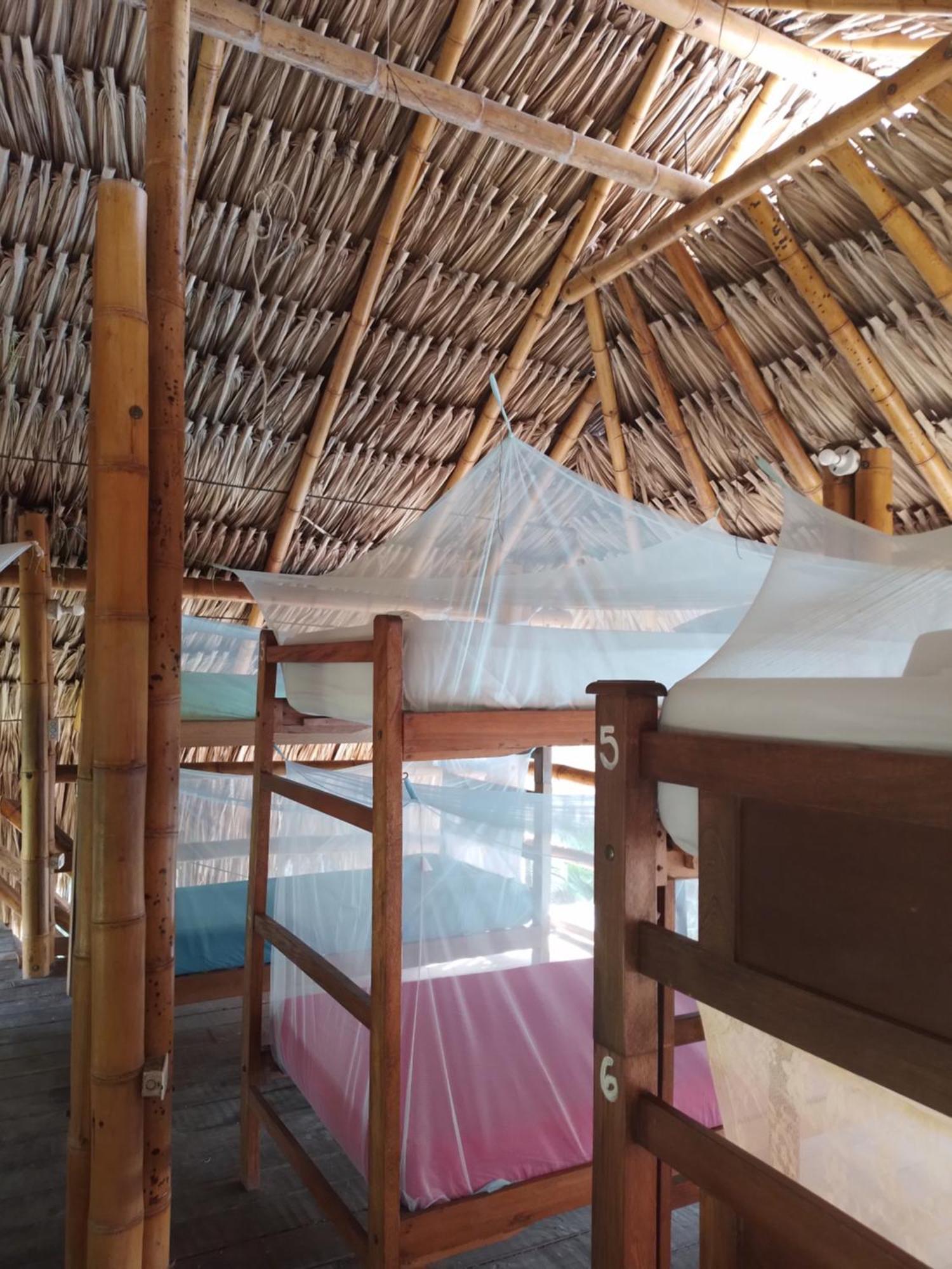 Kaluta Hostel Паломино Екстериор снимка